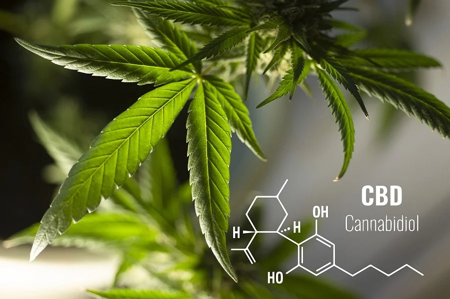 Things You Need to Know Before Buying Cannabichromene Online